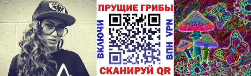 сколько стоит Семикаракорск Псилоцибиновые грибы MAGIC MUSHROOMS